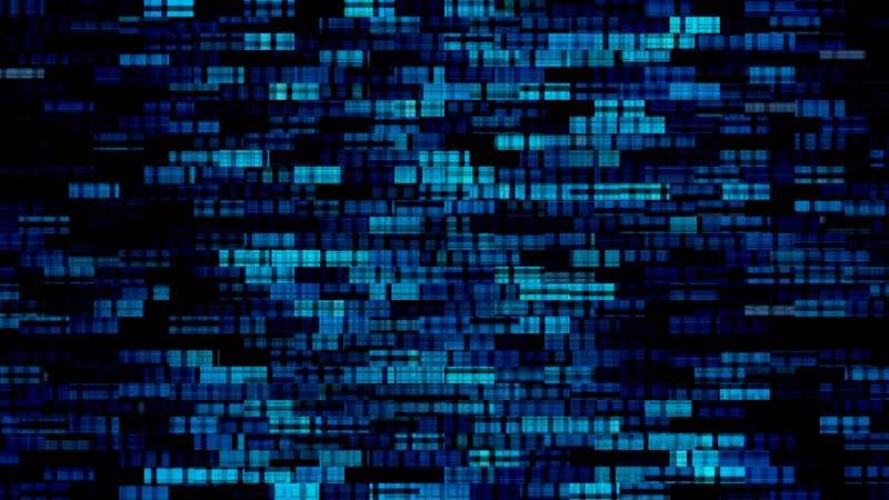 The basis for successful digitization